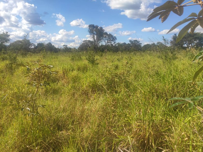 Fazenda à venda com 1 quarto, 800000m² - Foto 3