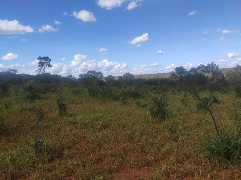 Fazenda à venda com 1 quarto, 800000m² - Foto 2