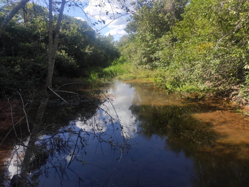 Fazenda à venda com 1 quarto, 800000m² - Foto 16