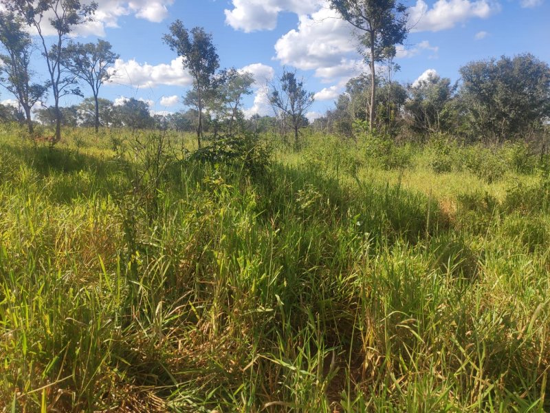 Fazenda à venda com 1 quarto, 800000m² - Foto 12