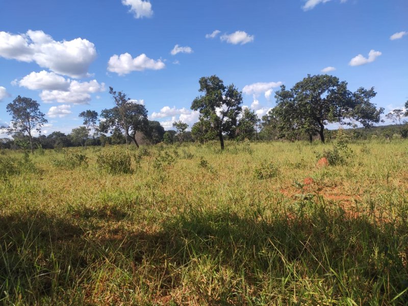 Fazenda à venda com 1 quarto, 800000m² - Foto 8