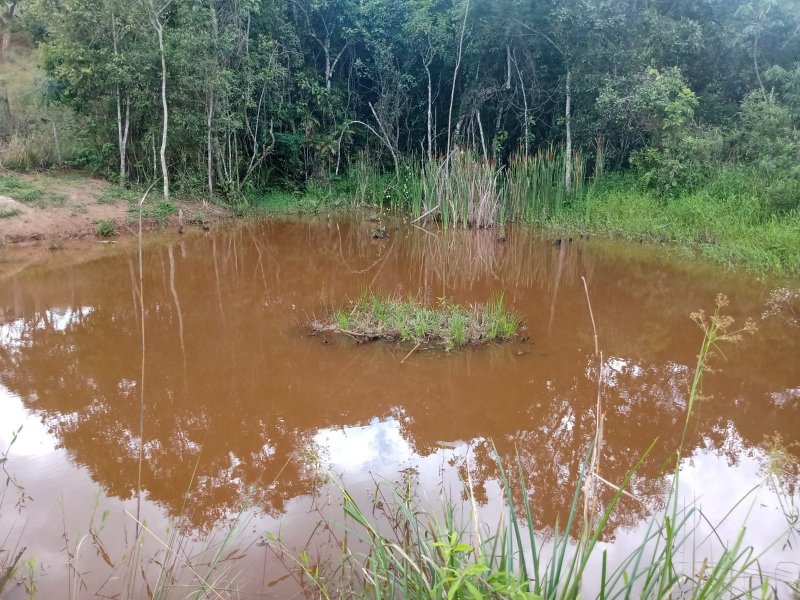 Sítio à venda com 1 quarto, 30000m² - Foto 13