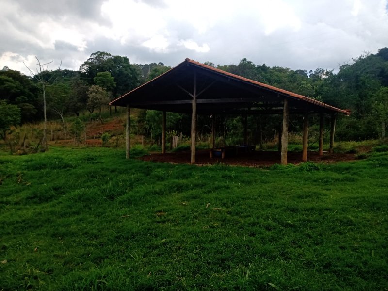 Sítio à venda com 1 quarto, 30000m² - Foto 12