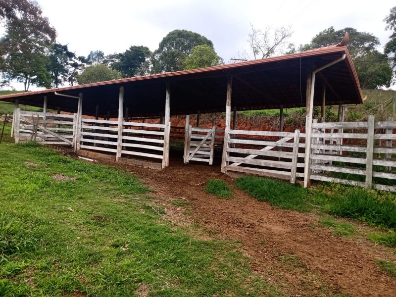 Sítio à venda com 1 quarto, 30000m² - Foto 16