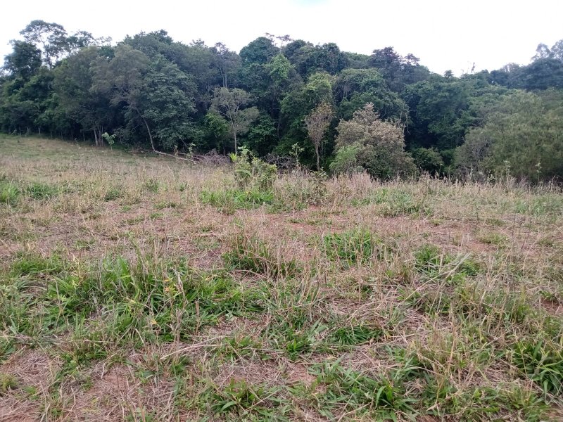 Sítio à venda com 1 quarto, 30000m² - Foto 10