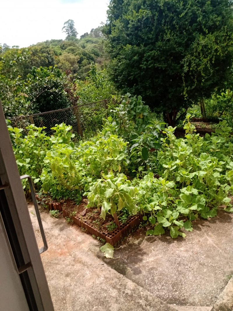 Sítio à venda com 1 quarto, 30000m² - Foto 24