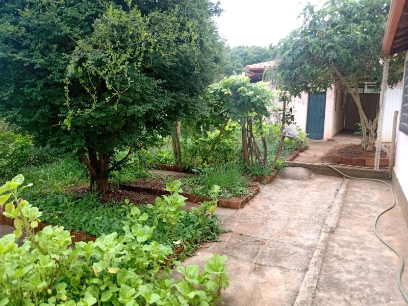 Sítio à venda com 1 quarto, 30000m² - Foto 8