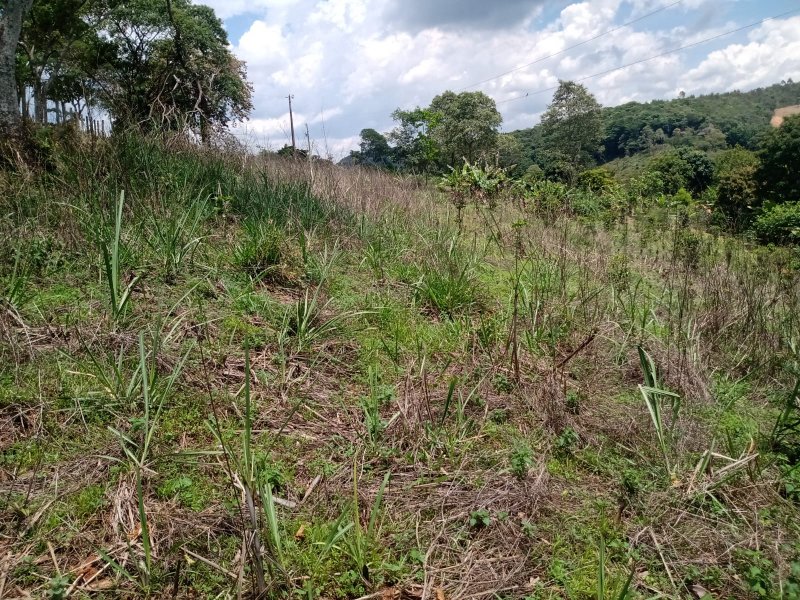 Sítio à venda com 1 quarto, 30000m² - Foto 7