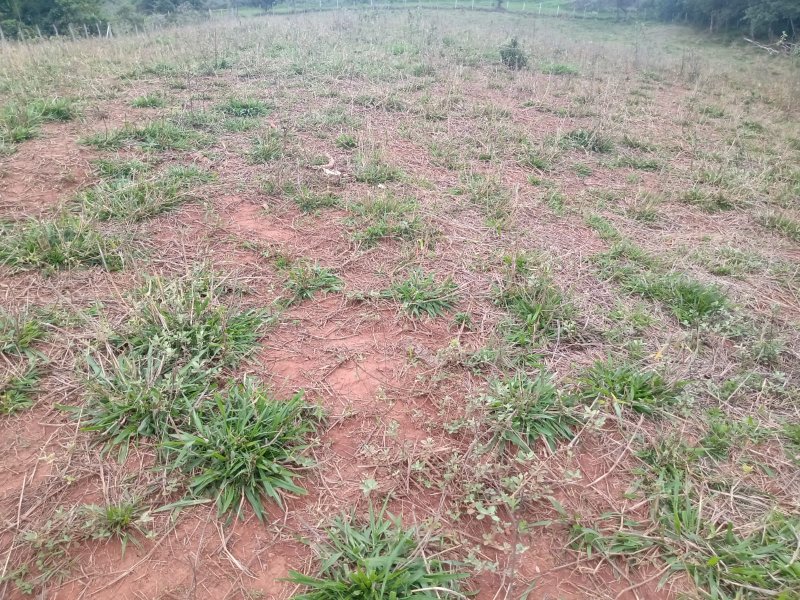 Sítio à venda com 1 quarto, 30000m² - Foto 11