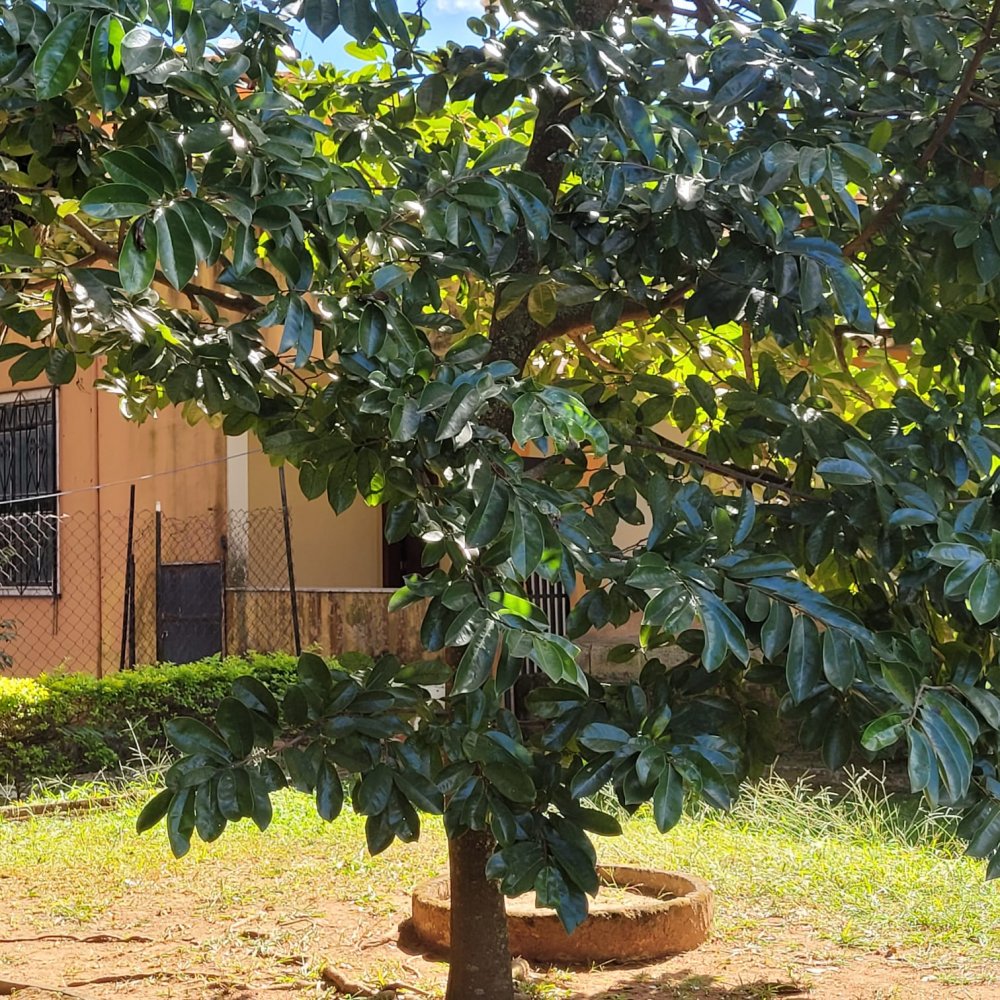 Casa de Condomínio à venda com 3 quartos, 2000m² - Foto 10