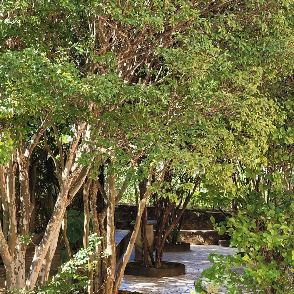 Casa de Condomínio à venda com 3 quartos, 2000m² - Foto 15