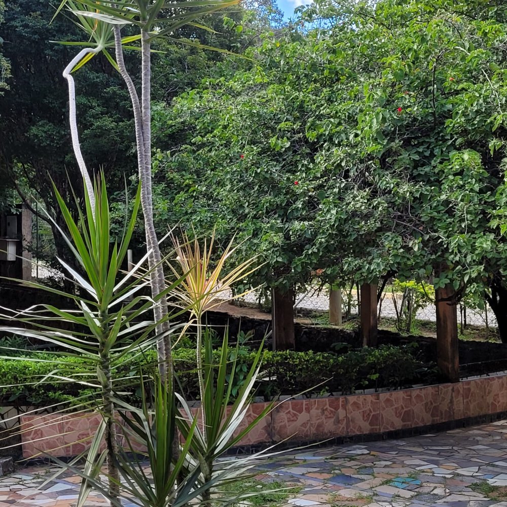 Casa de Condomínio à venda com 3 quartos, 2000m² - Foto 19
