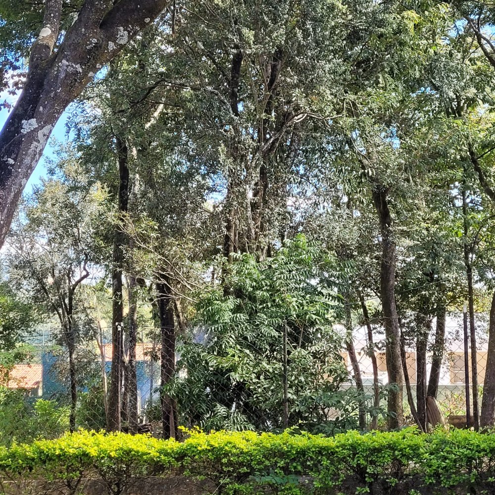 Casa de Condomínio à venda com 3 quartos, 2000m² - Foto 9