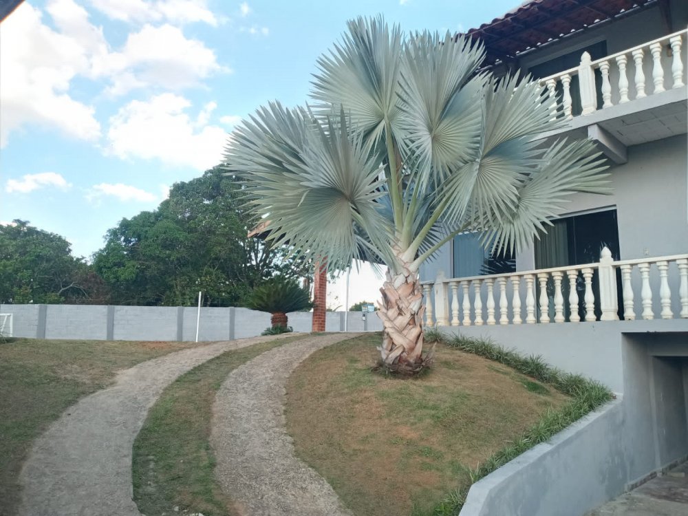 Sítio à venda com 3 quartos, 1450m² - Foto 11