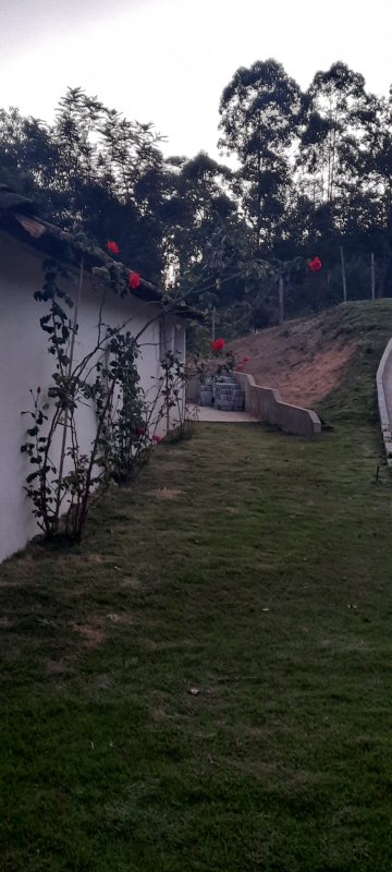 Sítio à venda com 1 quarto, 4700m² - Foto 17