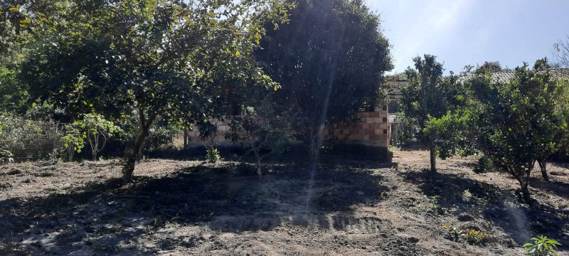 Sítio à venda com 1 quarto, 4700m² - Foto 23