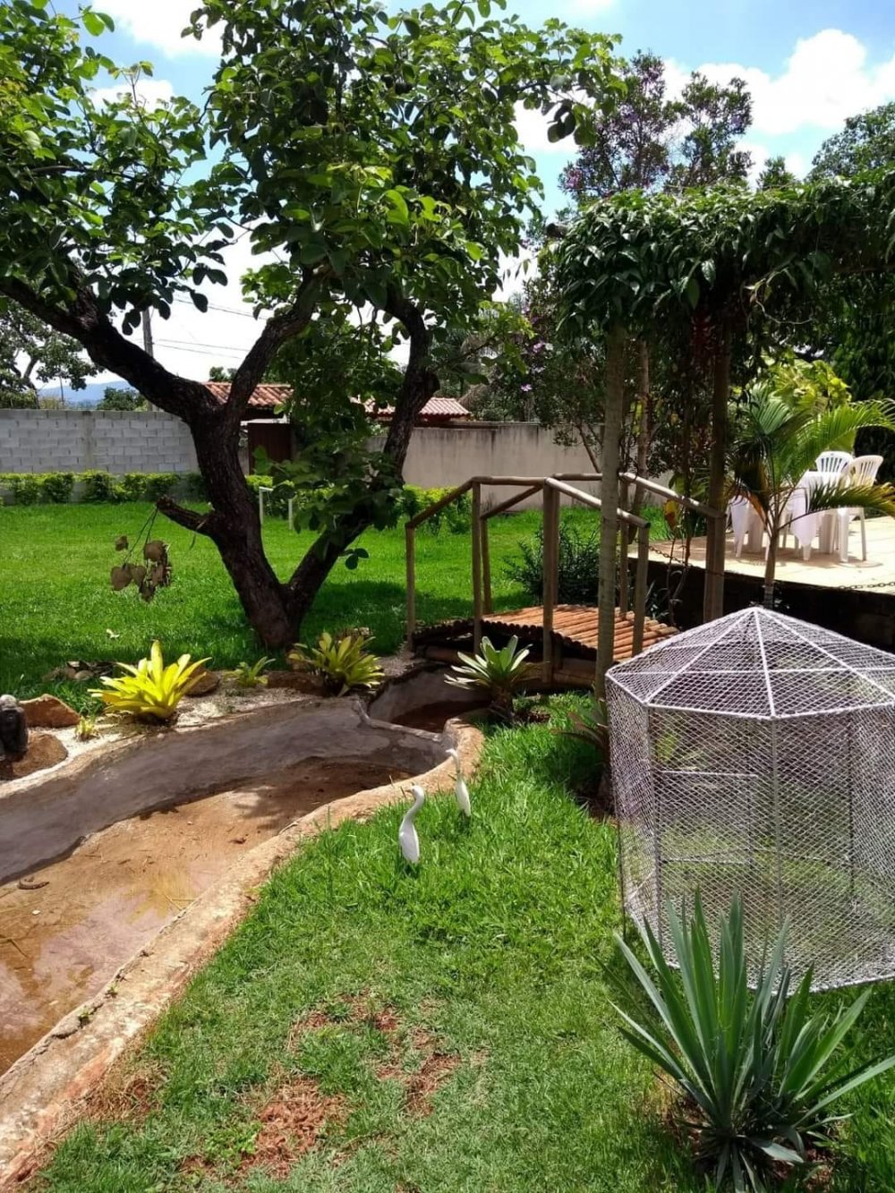 Sítio à venda com 2 quartos, 1000m² - Foto 1