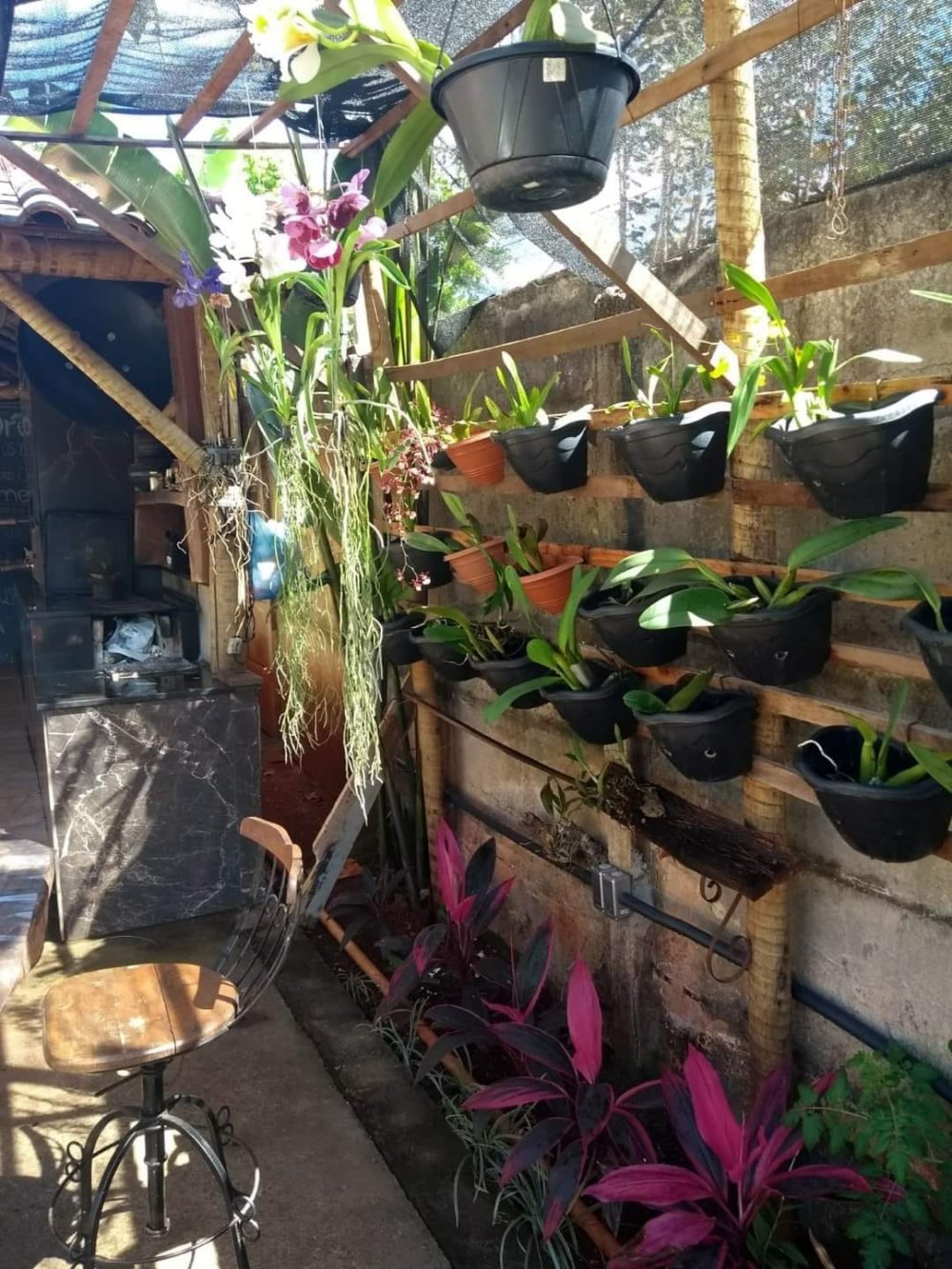 Sítio à venda com 2 quartos, 1000m² - Foto 9