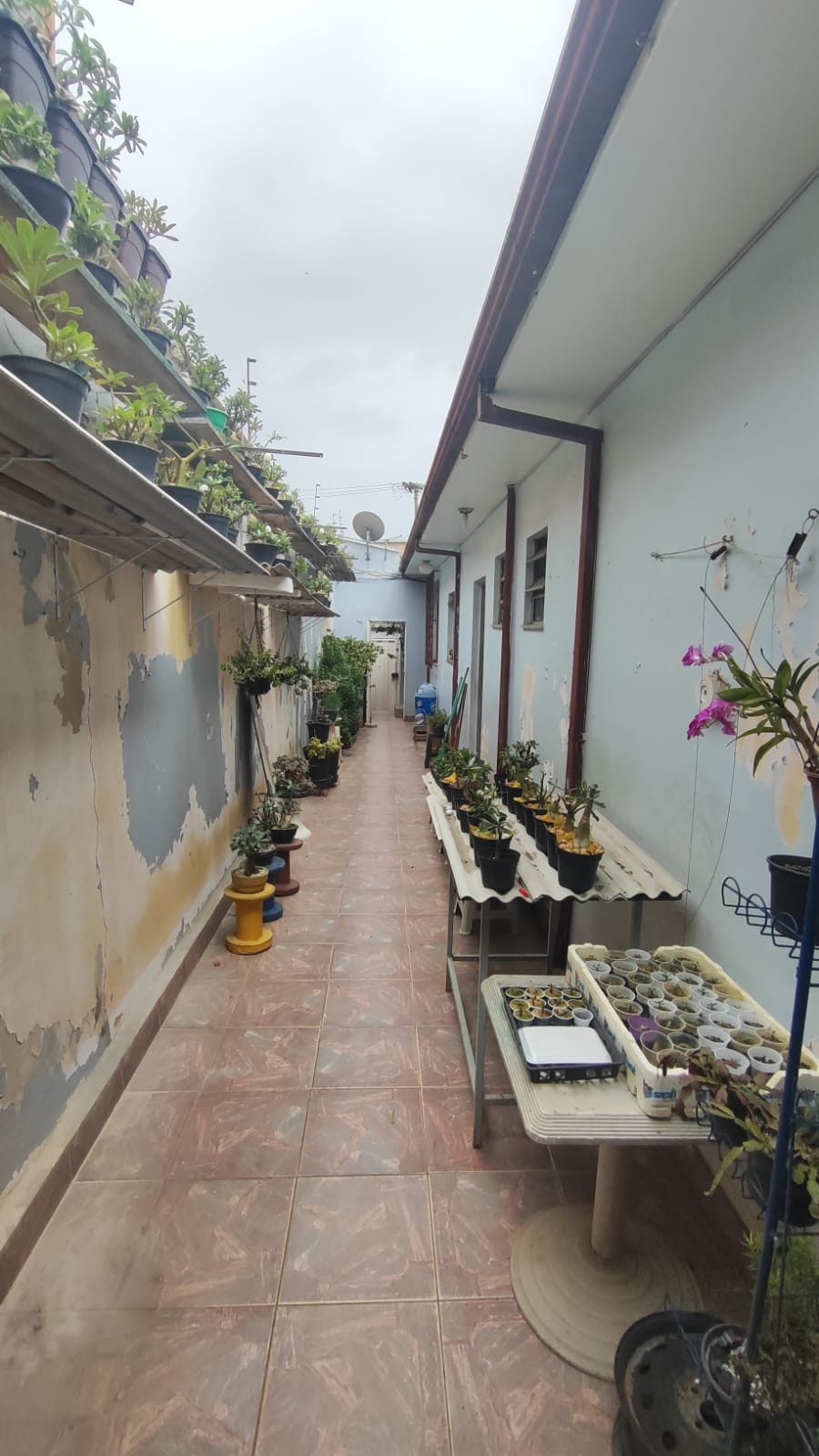 Casa à venda com 3 quartos, 260m² - Foto 19