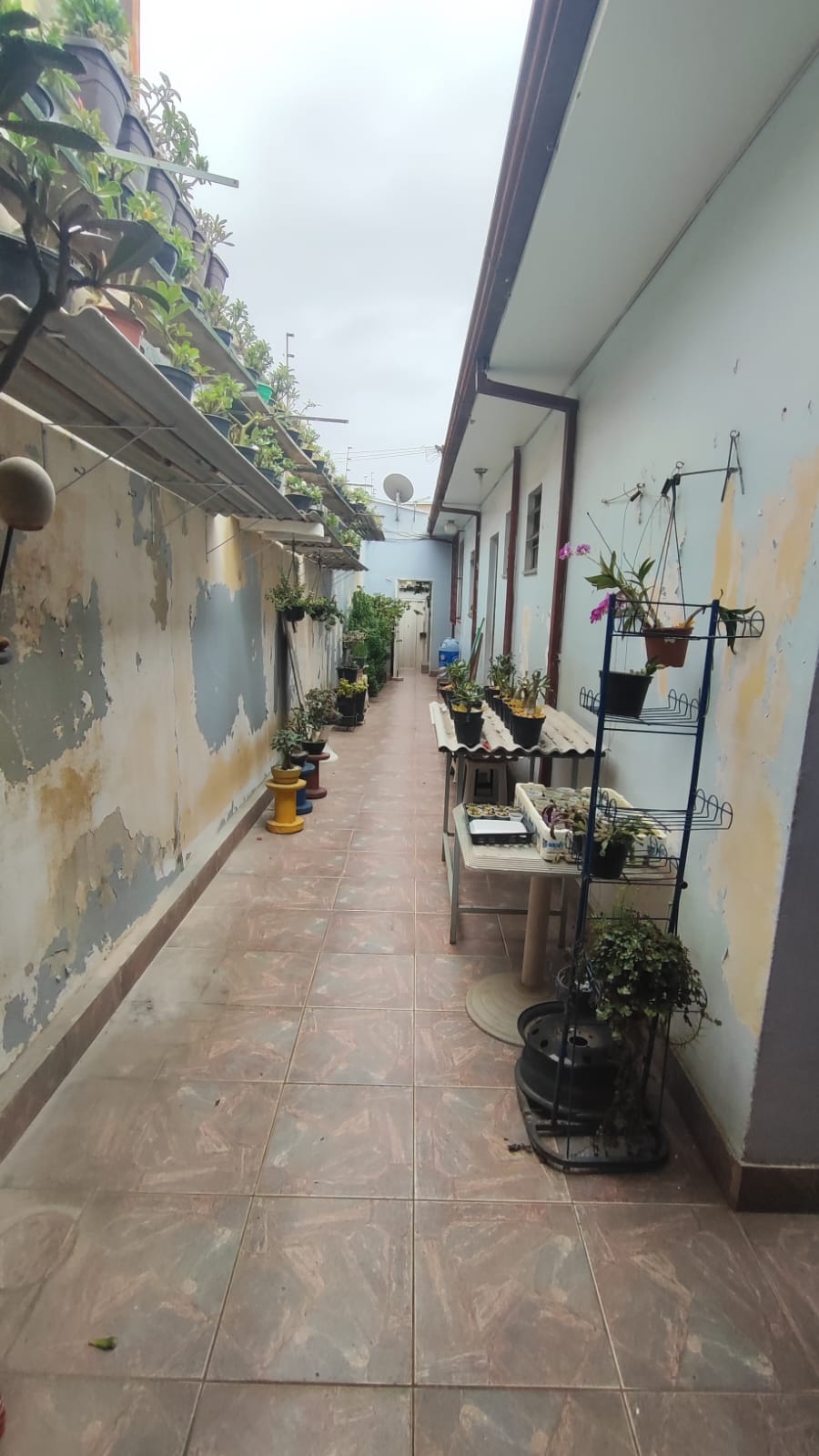 Casa à venda com 3 quartos, 260m² - Foto 25