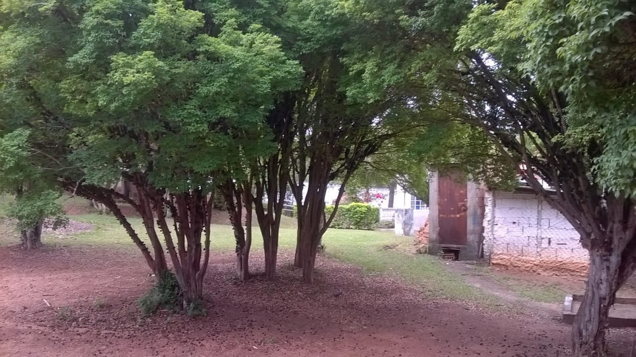 Sítio à venda com 3 quartos, 220m² - Foto 5