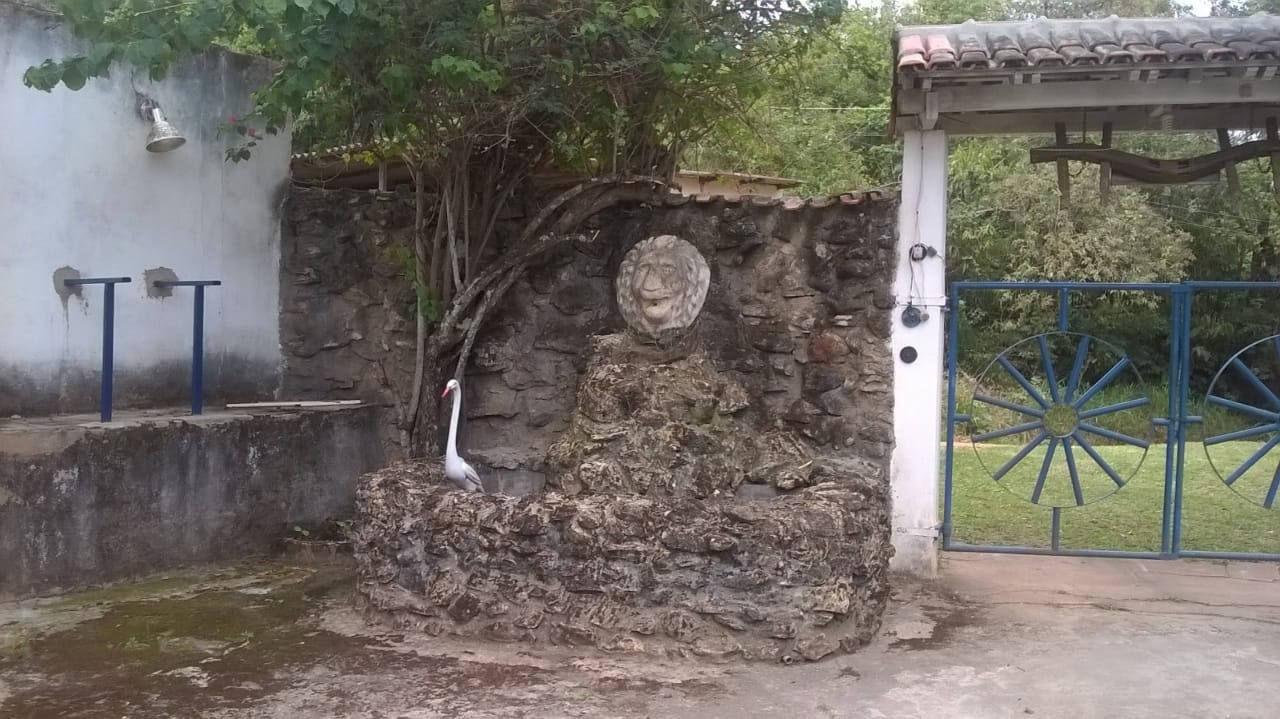 Sítio à venda com 3 quartos, 220m² - Foto 8
