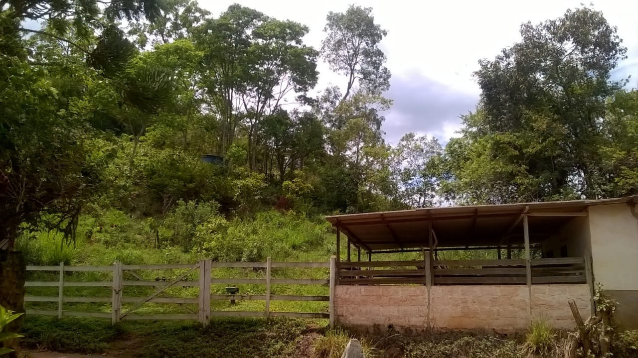 Sítio à venda com 3 quartos, 220m² - Foto 11