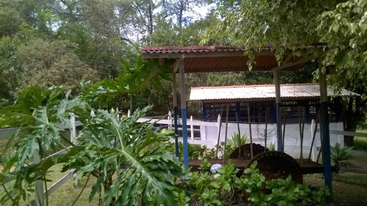 Sítio à venda com 3 quartos, 220m² - Foto 19