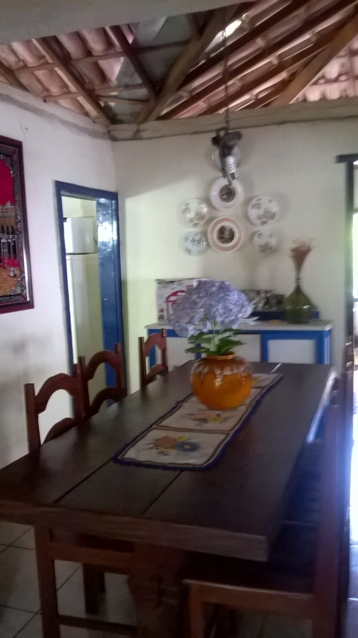 Sítio à venda com 3 quartos, 220m² - Foto 20