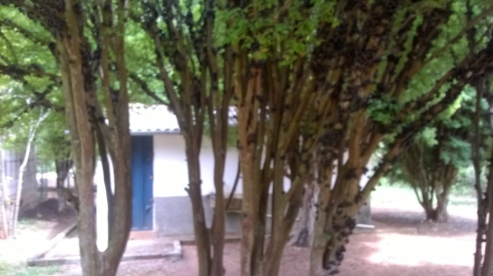 Sítio à venda com 3 quartos, 220m² - Foto 24