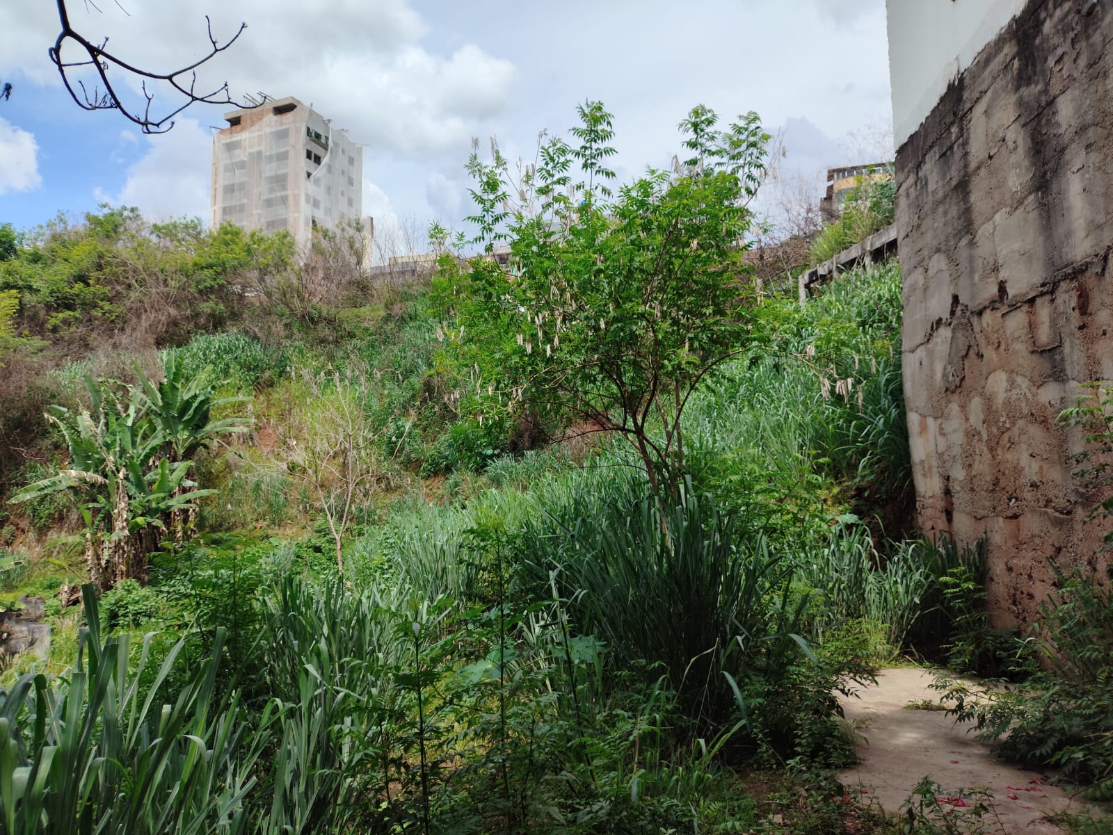 Terreno à venda, 350m² - Foto 5