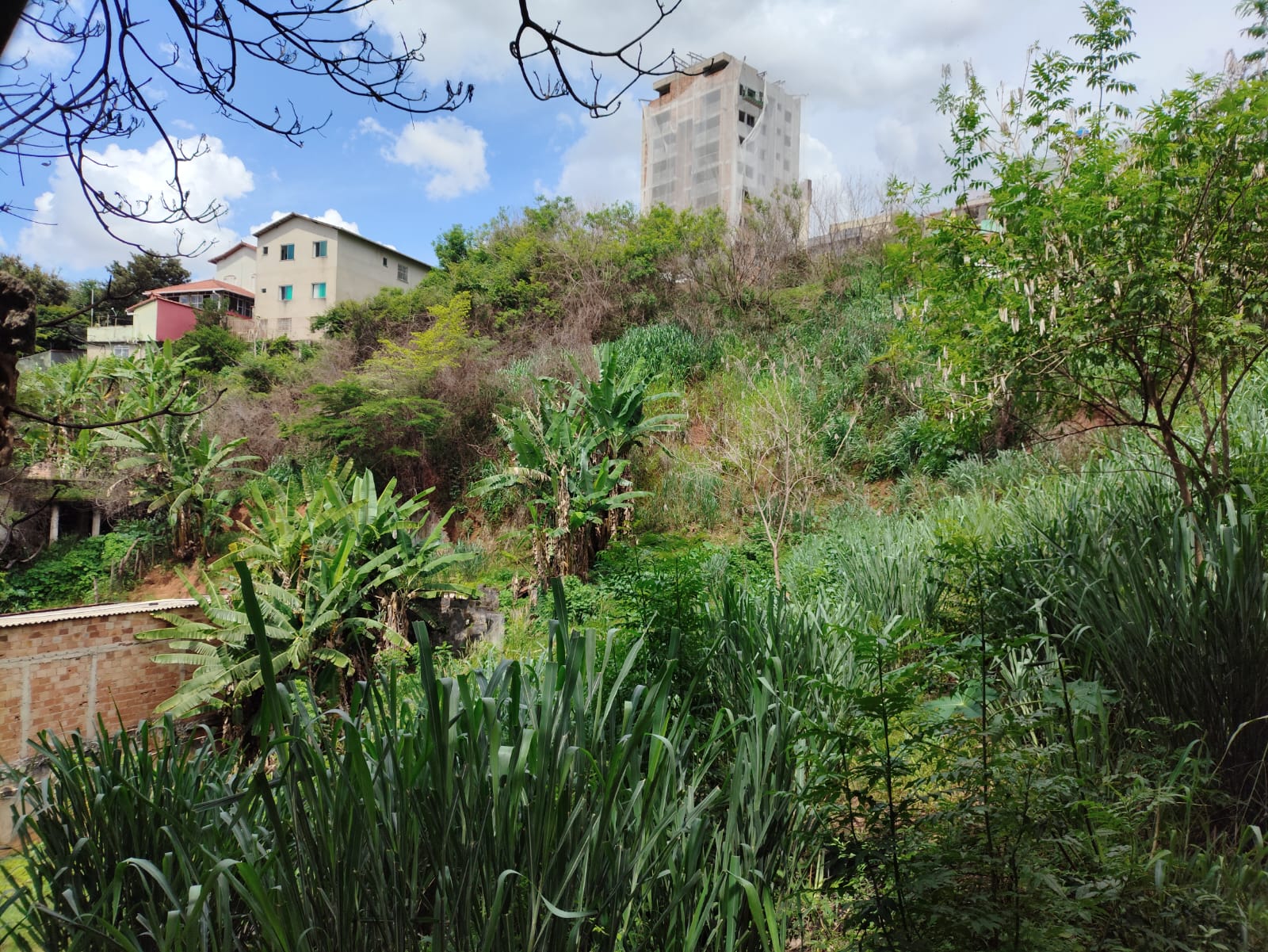 Terreno à venda, 350m² - Foto 4