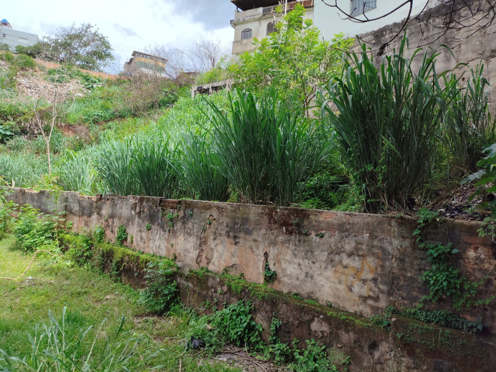 Terreno à venda, 350m² - Foto 3