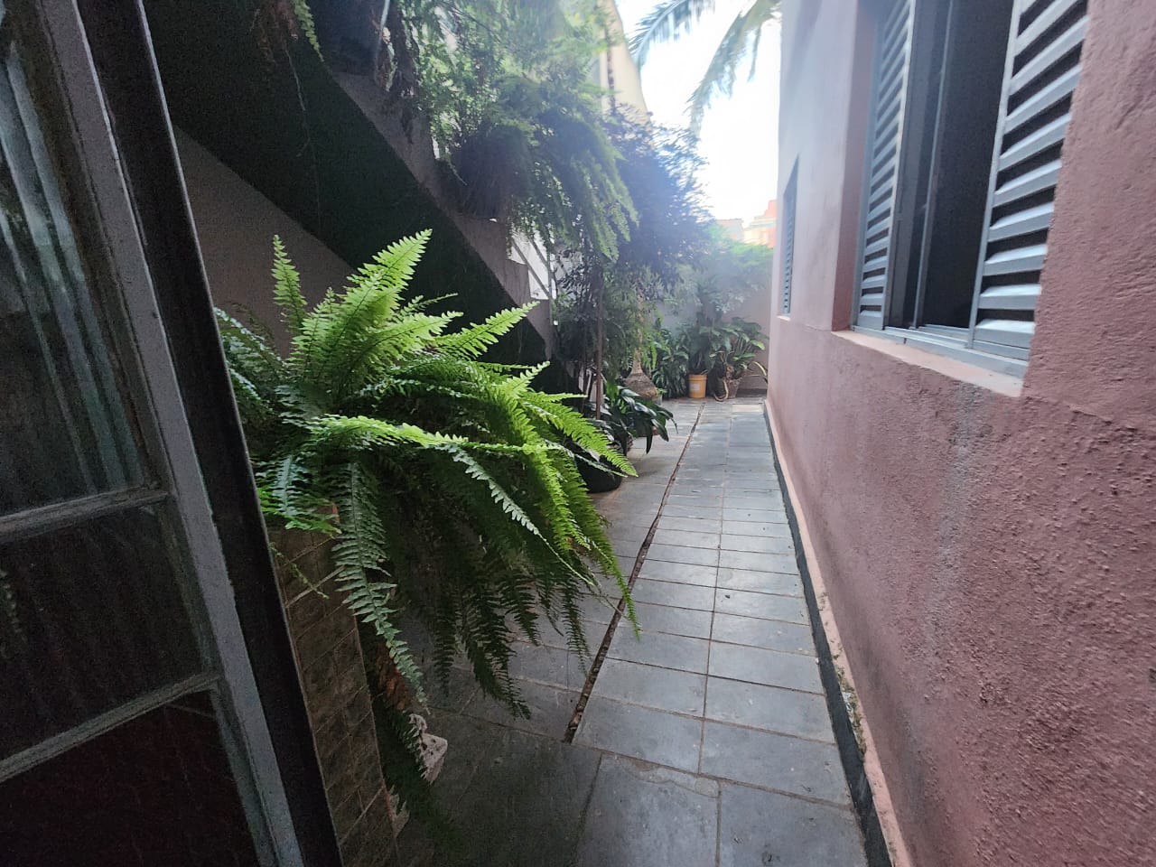 Casa à venda com 7 quartos, 360m² - Foto 10