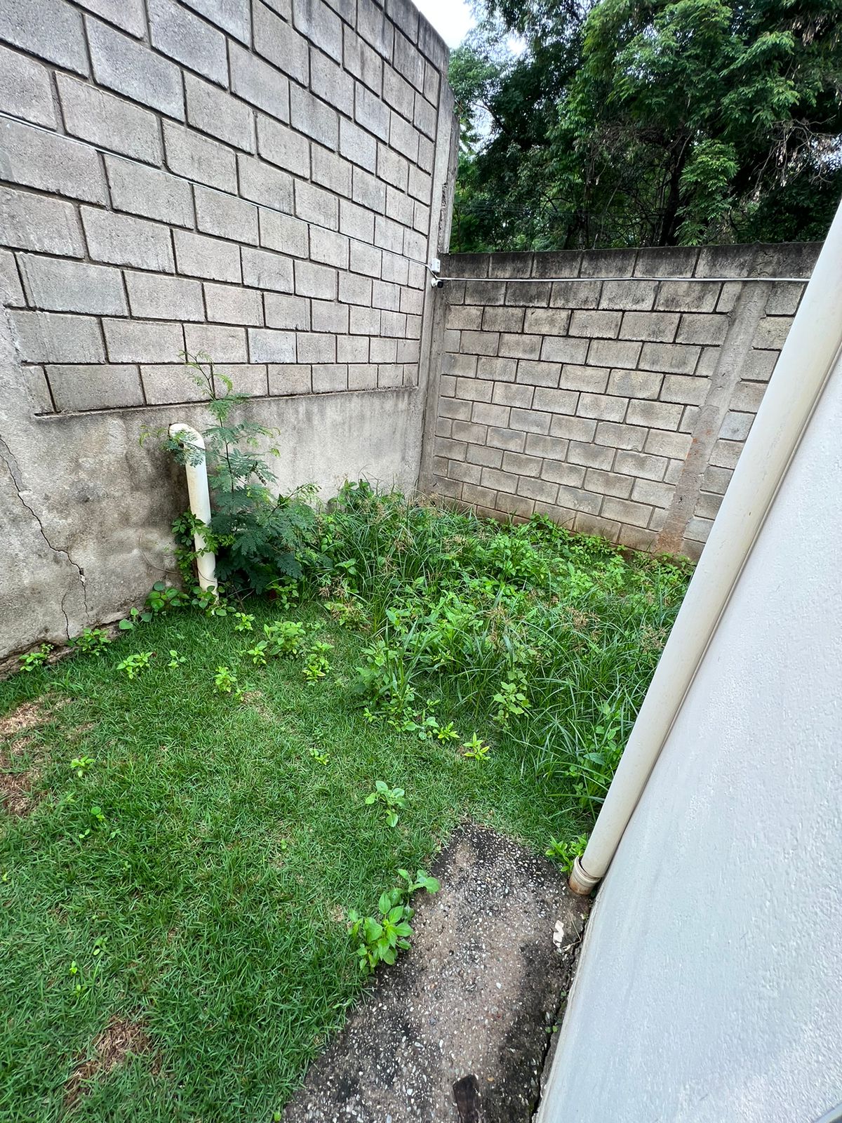 Casa à venda com 3 quartos, 88m² - Foto 10