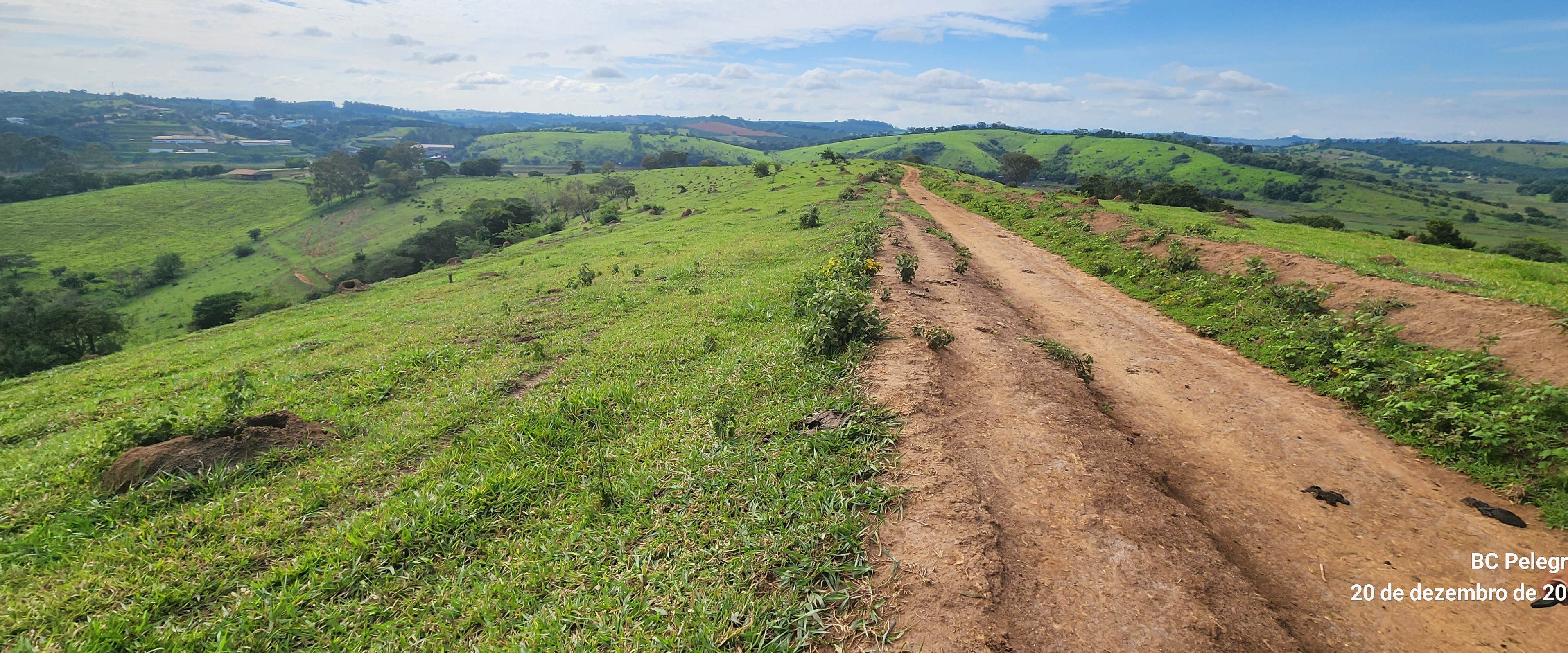 Fazenda à venda com 1 quarto, 1340000m² - Foto 19