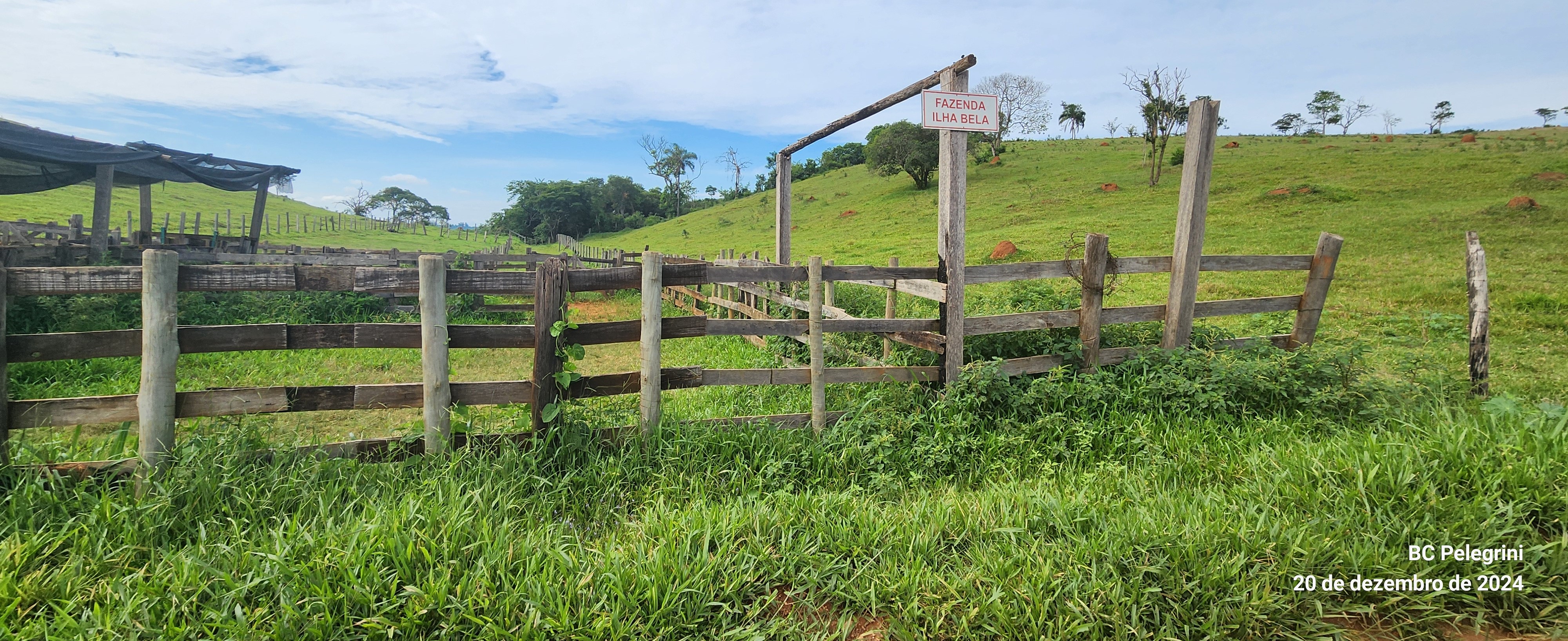 Fazenda à venda com 1 quarto, 1340000m² - Foto 14
