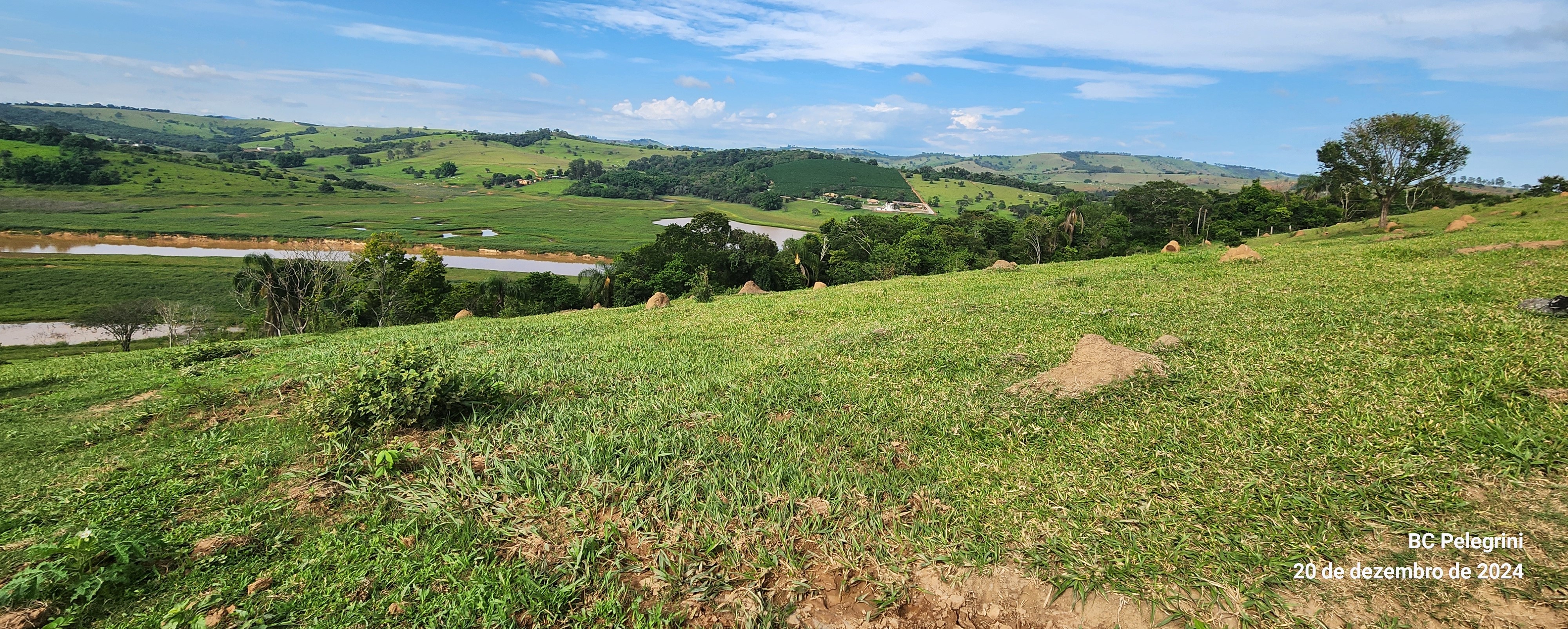 Fazenda à venda com 1 quarto, 1340000m² - Foto 22