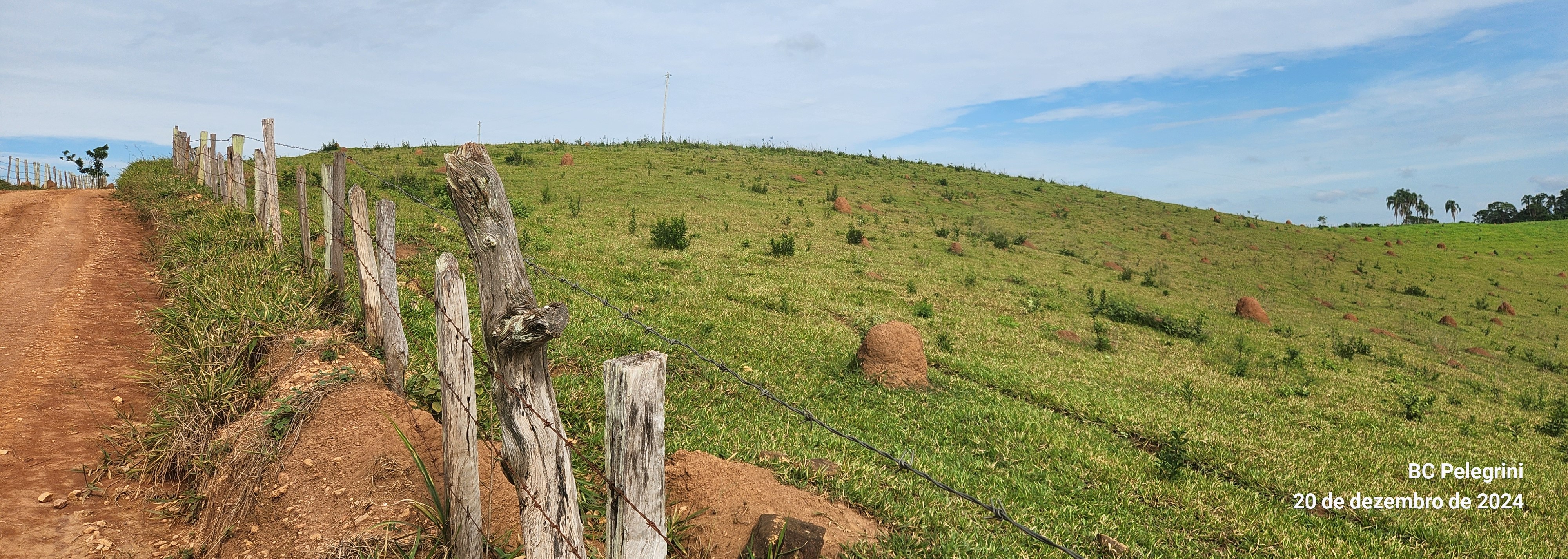 Fazenda à venda com 1 quarto, 1340000m² - Foto 9