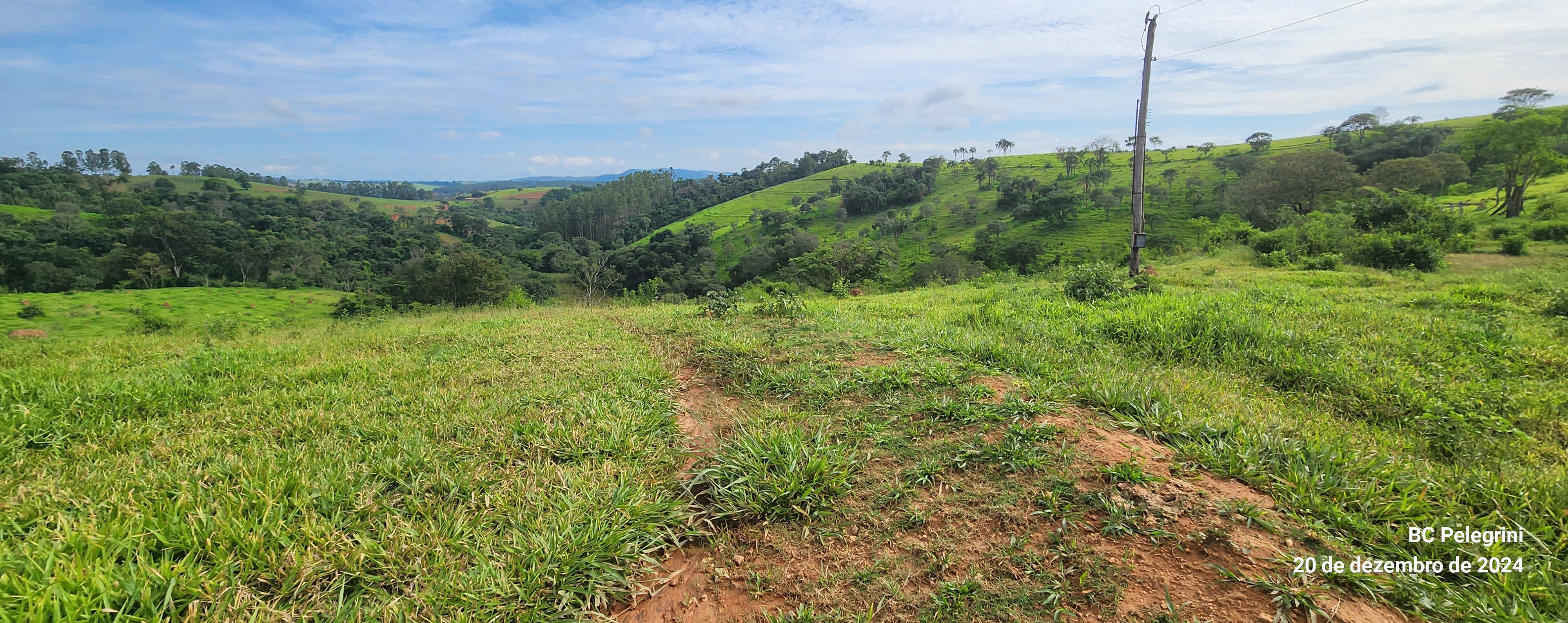 Fazenda à venda com 1 quarto, 1340000m² - Foto 7