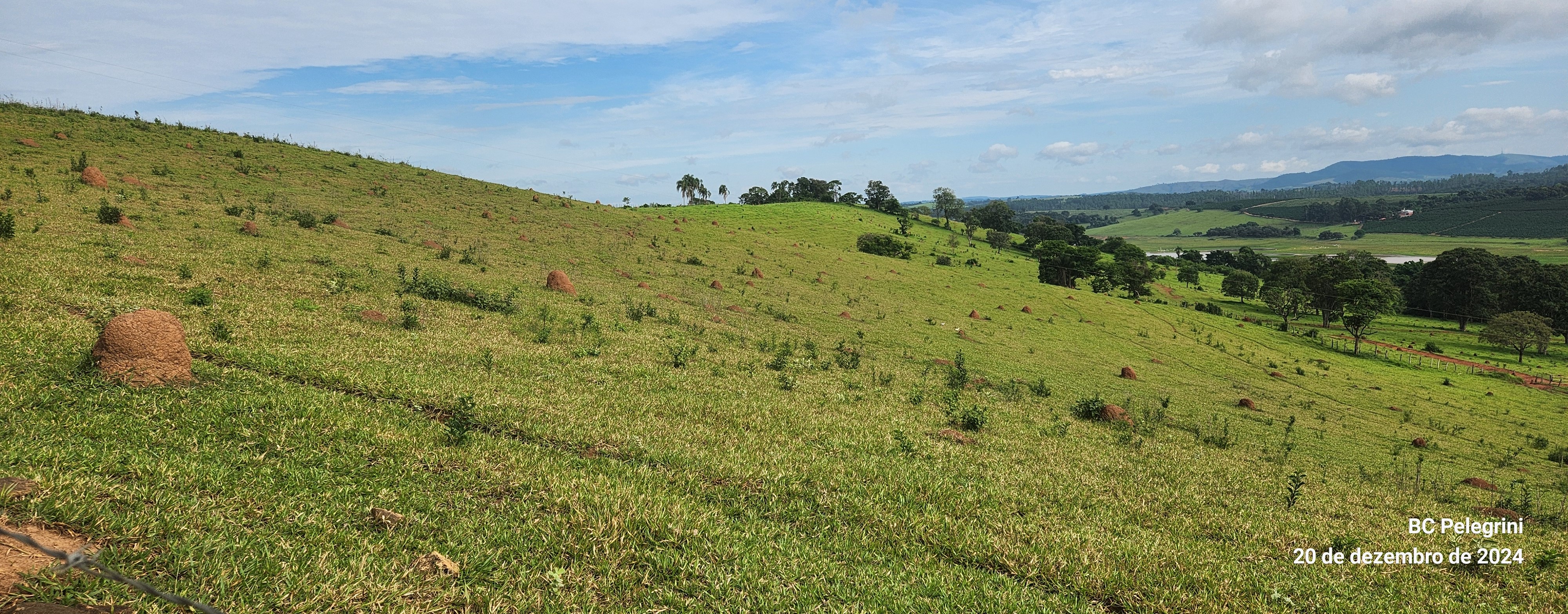 Fazenda à venda com 1 quarto, 1340000m² - Foto 10