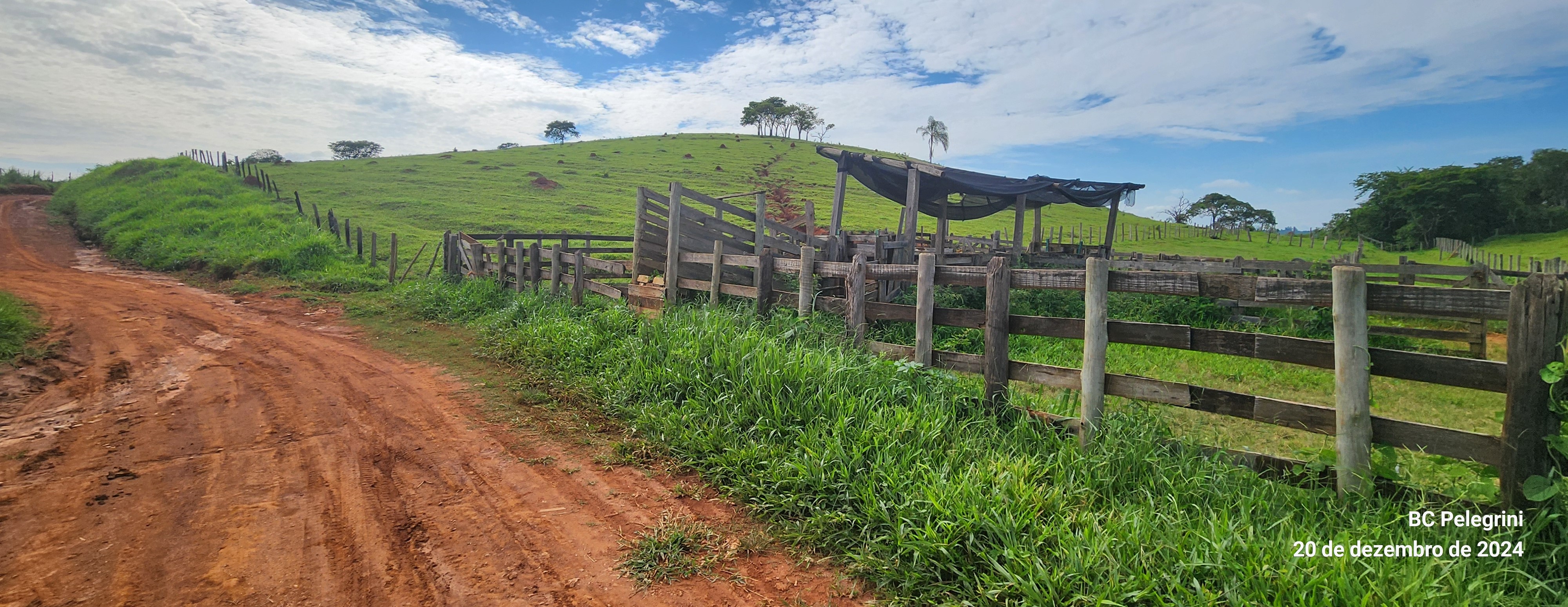 Fazenda à venda com 1 quarto, 1340000m² - Foto 15