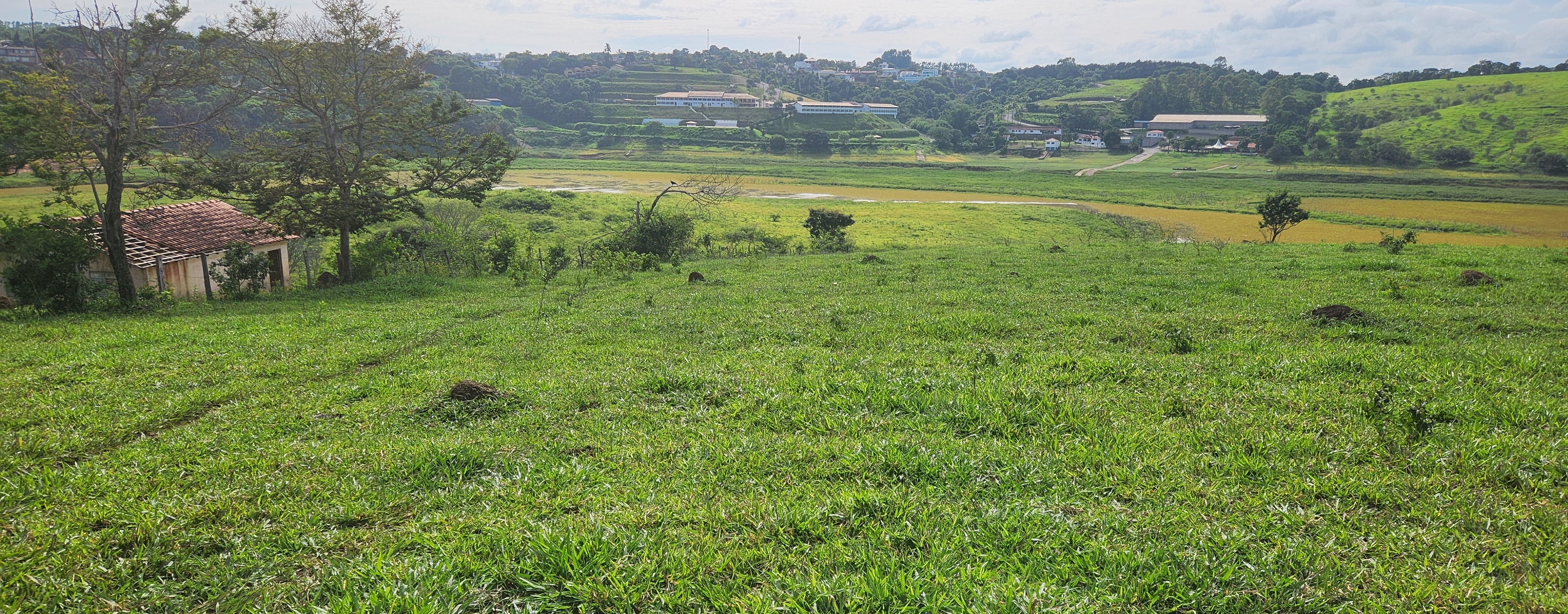 Fazenda à venda com 1 quarto, 1340000m² - Foto 25