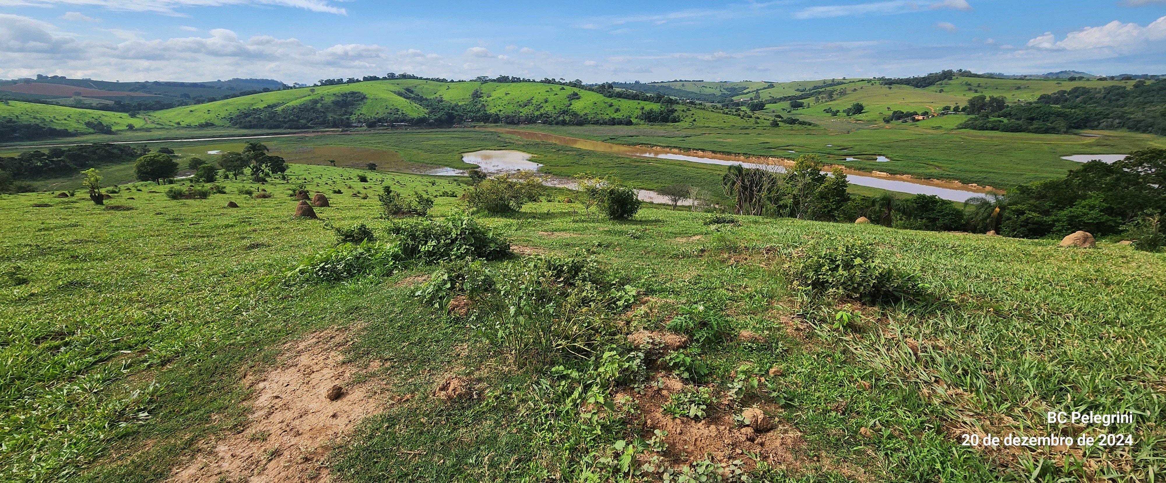 Fazenda à venda com 1 quarto, 1340000m² - Foto 23