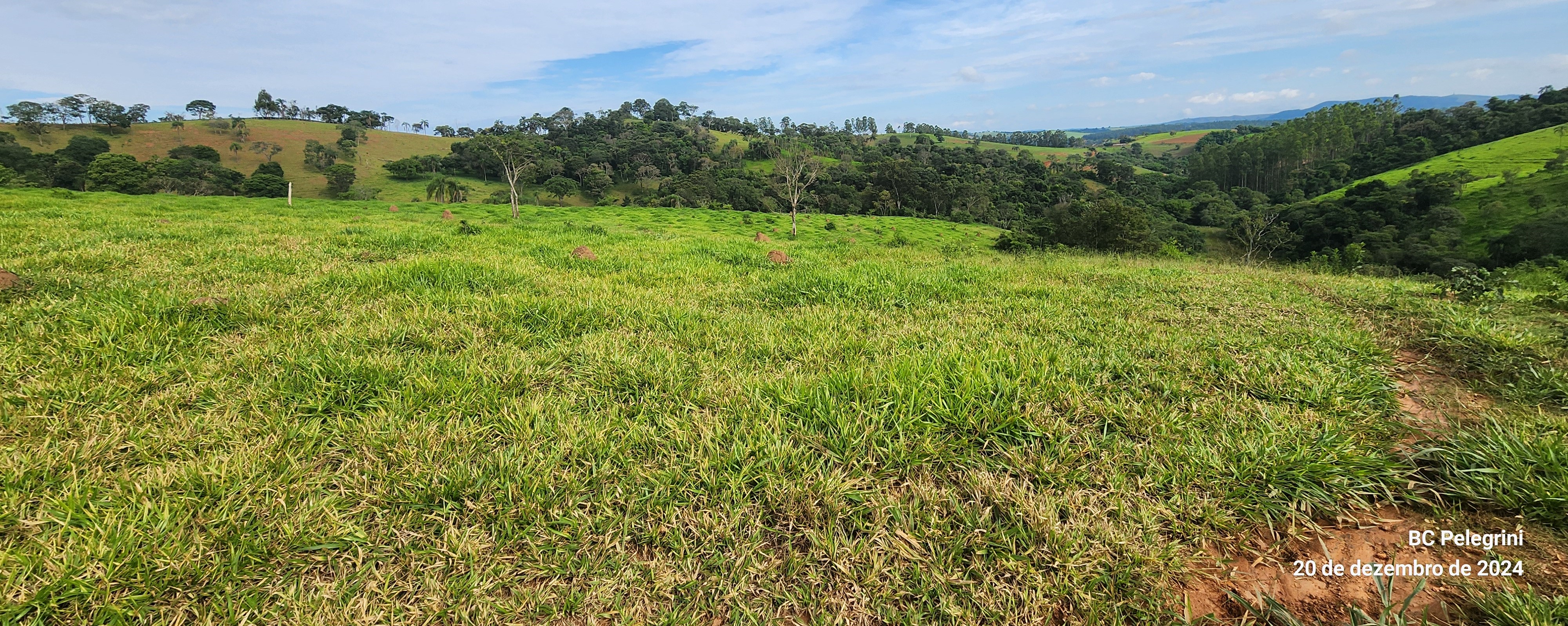Fazenda à venda com 1 quarto, 1340000m² - Foto 6