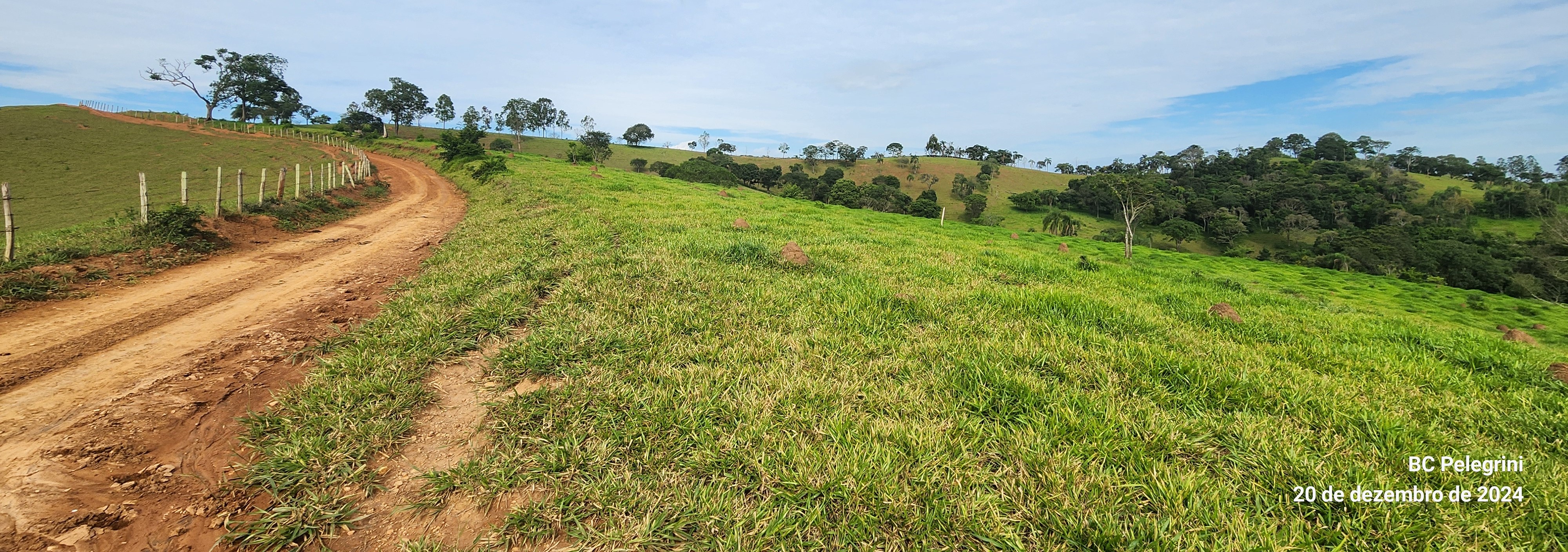 Fazenda à venda com 1 quarto, 1340000m² - Foto 11
