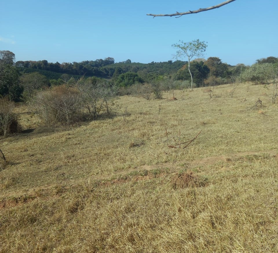 Fazenda à venda com 1 quarto, 992200m² - Foto 12
