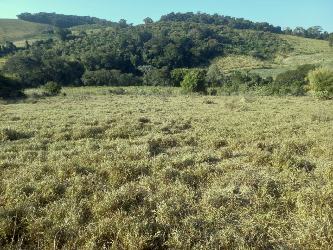 Fazenda à venda com 1 quarto, 992200m² - Foto 2