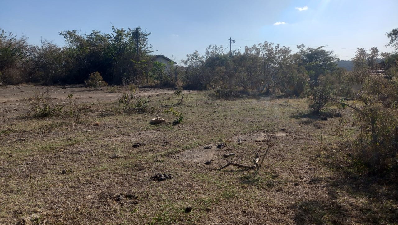 Fazenda à venda com 1 quarto, 992200m² - Foto 11
