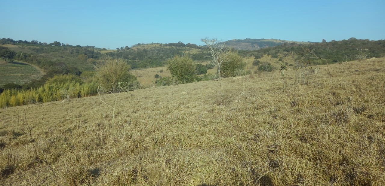 Fazenda à venda com 1 quarto, 992200m² - Foto 1